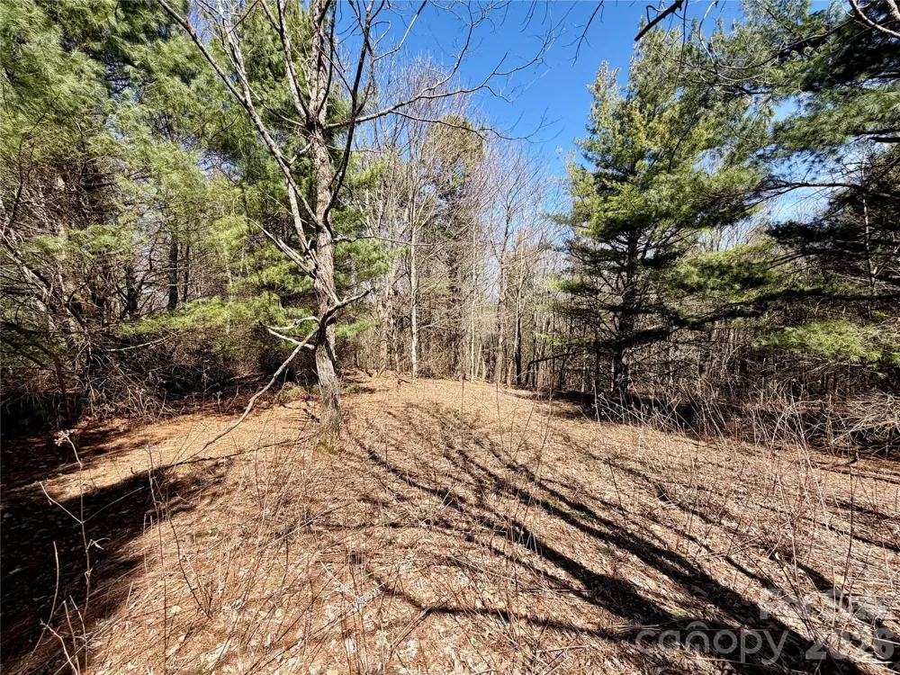 TBD Grandview Drive #Tract A Boone, NC 28607