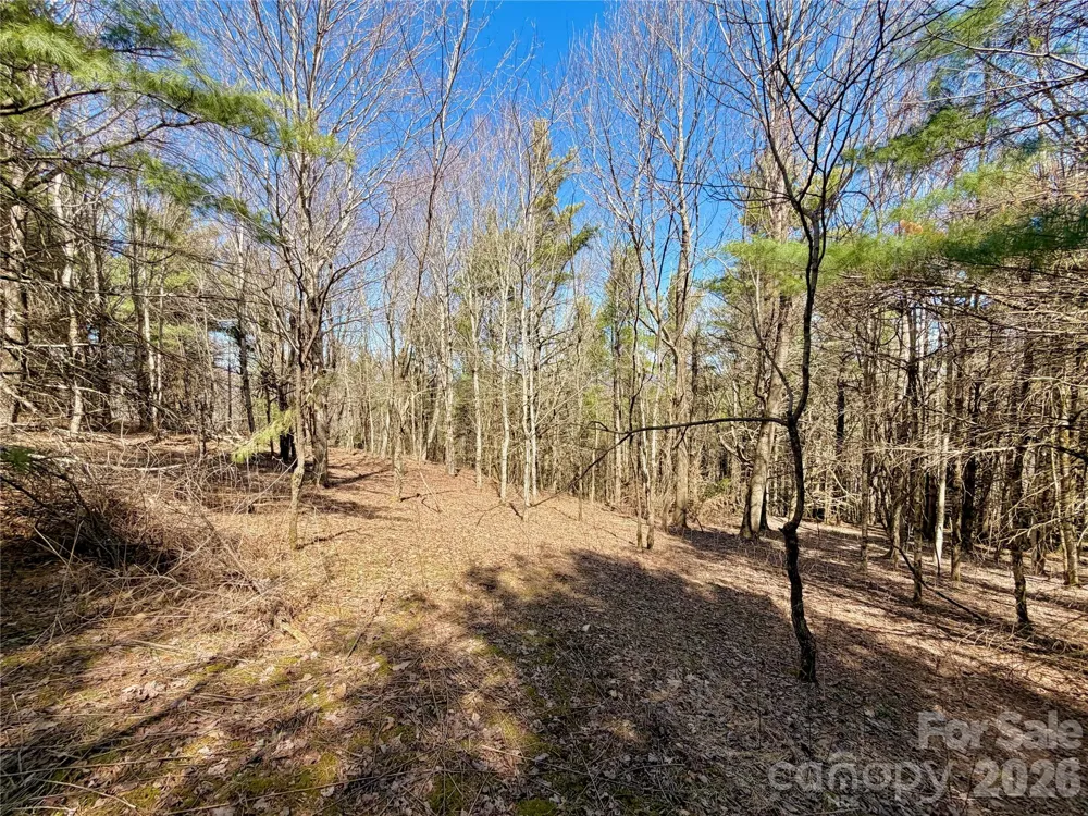 TBD Grandview Drive #Tract A Boone, NC 28607