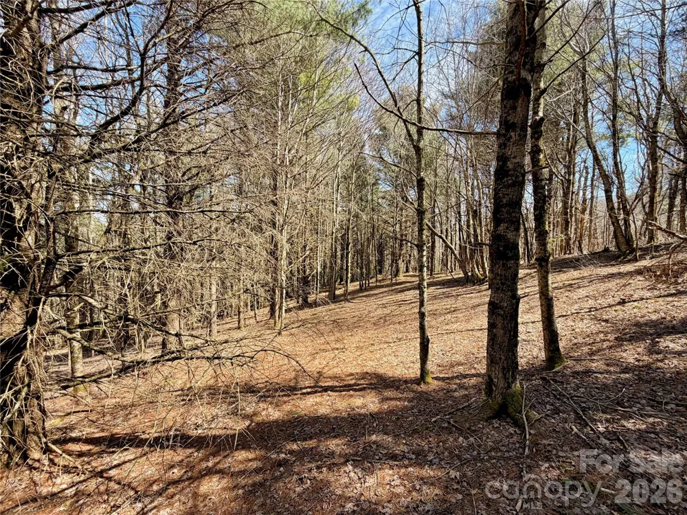 TBD Grandview Drive #Tract A Boone, NC 28607