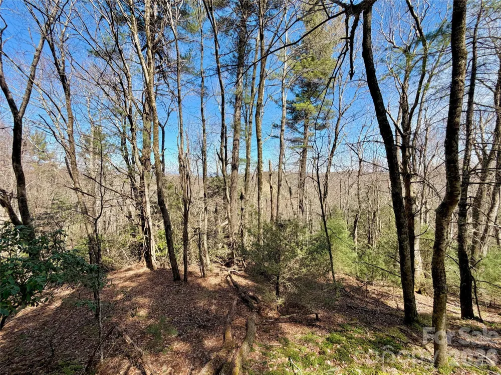TBD Grandview Drive #Tract A Boone, NC 28607
