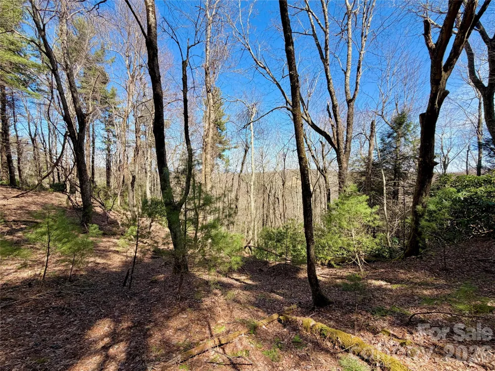 TBD Grandview Drive #Tract A Boone, NC 28607