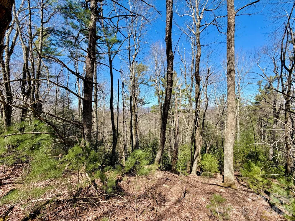 TBD Grandview Drive #Tract A Boone, NC 28607
