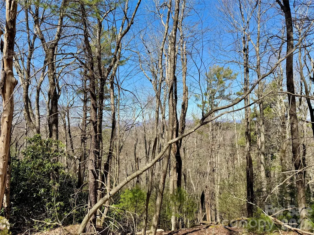 TBD Grandview Drive #Tract A Boone, NC 28607