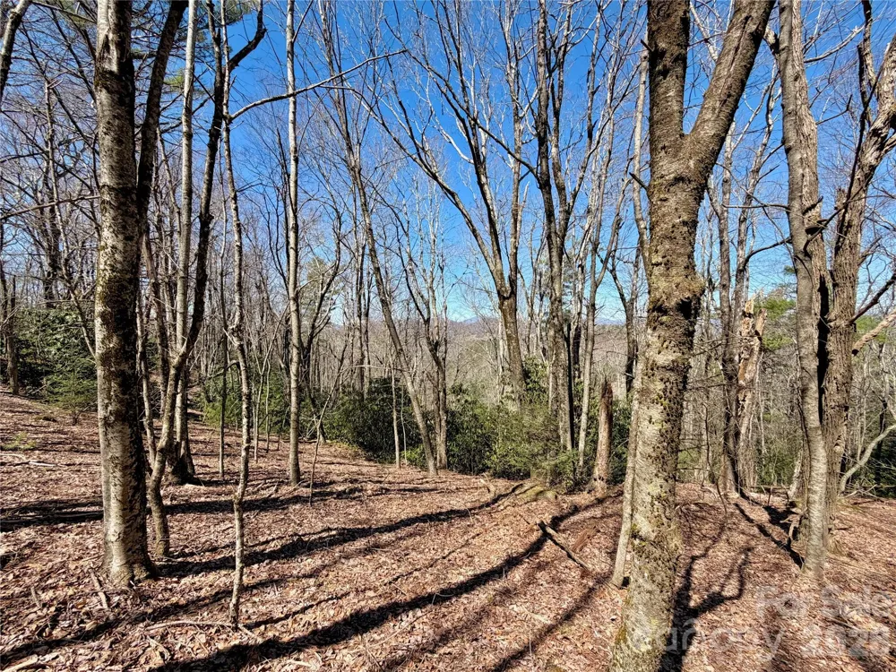 TBD Grandview Drive #Tract A Boone, NC 28607