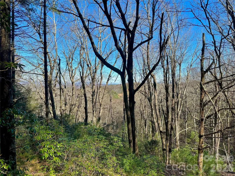 TBD Grandview Drive #Tract A Boone, NC 28607
