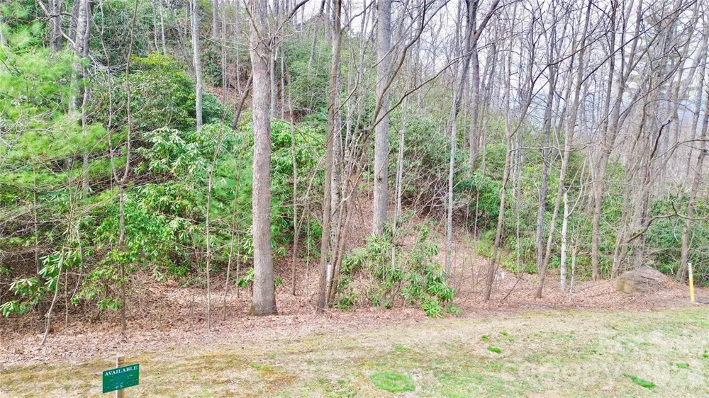 21 Settings Boulevard #40 Black Mountain, NC 28711