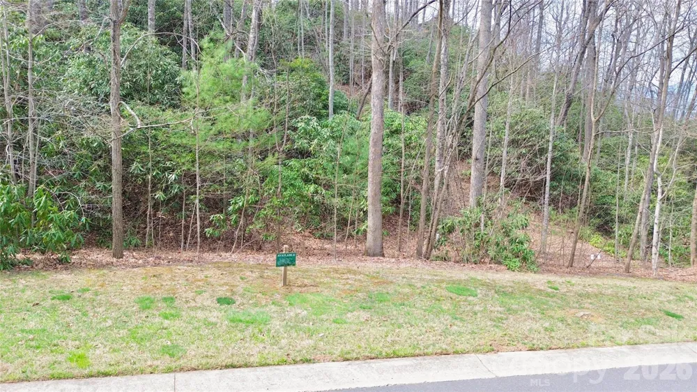 21 Settings Boulevard #40 Black Mountain, NC 28711