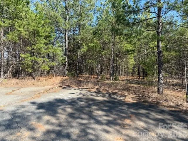 00 Hope Drive Rutherfordton, NC 28139