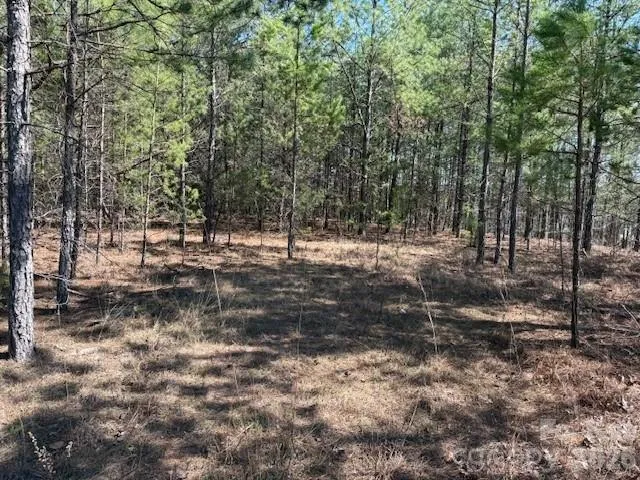 00 Hope Drive Rutherfordton, NC 28139