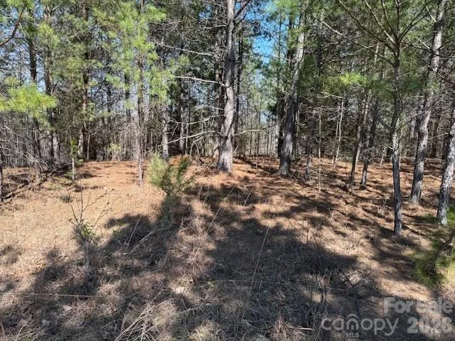 00 Hope Drive Rutherfordton, NC 28139