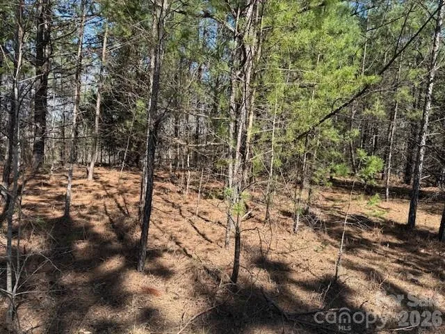 00 Hope Drive Rutherfordton, NC 28139