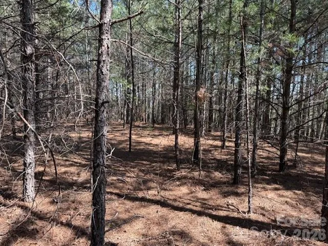 00 Hope Drive Rutherfordton, NC 28139