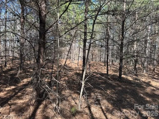 00 Hope Drive Rutherfordton, NC 28139