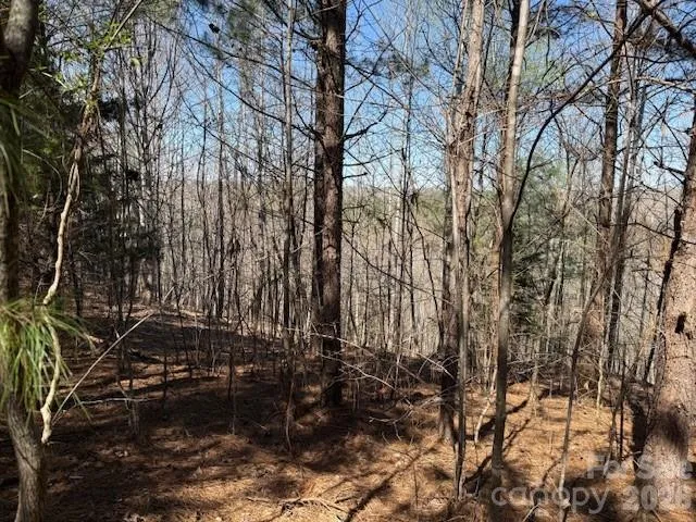 00 Hope Drive Rutherfordton, NC 28139