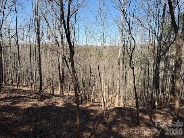 00 Hope Drive Rutherfordton, NC 28139