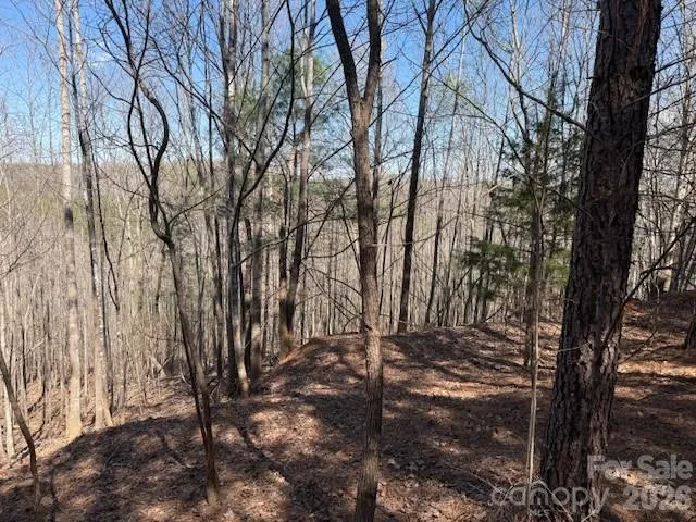 00 Hope Drive Rutherfordton, NC 28139
