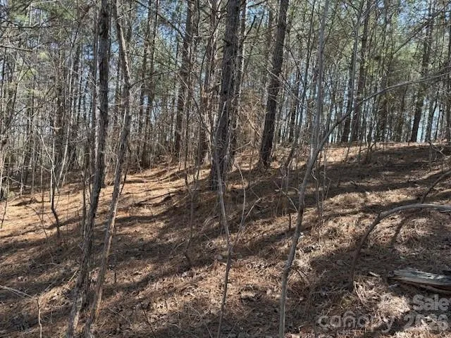 00 Hope Drive Rutherfordton, NC 28139