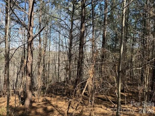 00 Hope Drive Rutherfordton, NC 28139