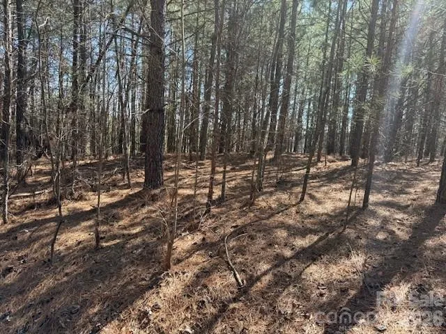 00 Hope Drive Rutherfordton, NC 28139