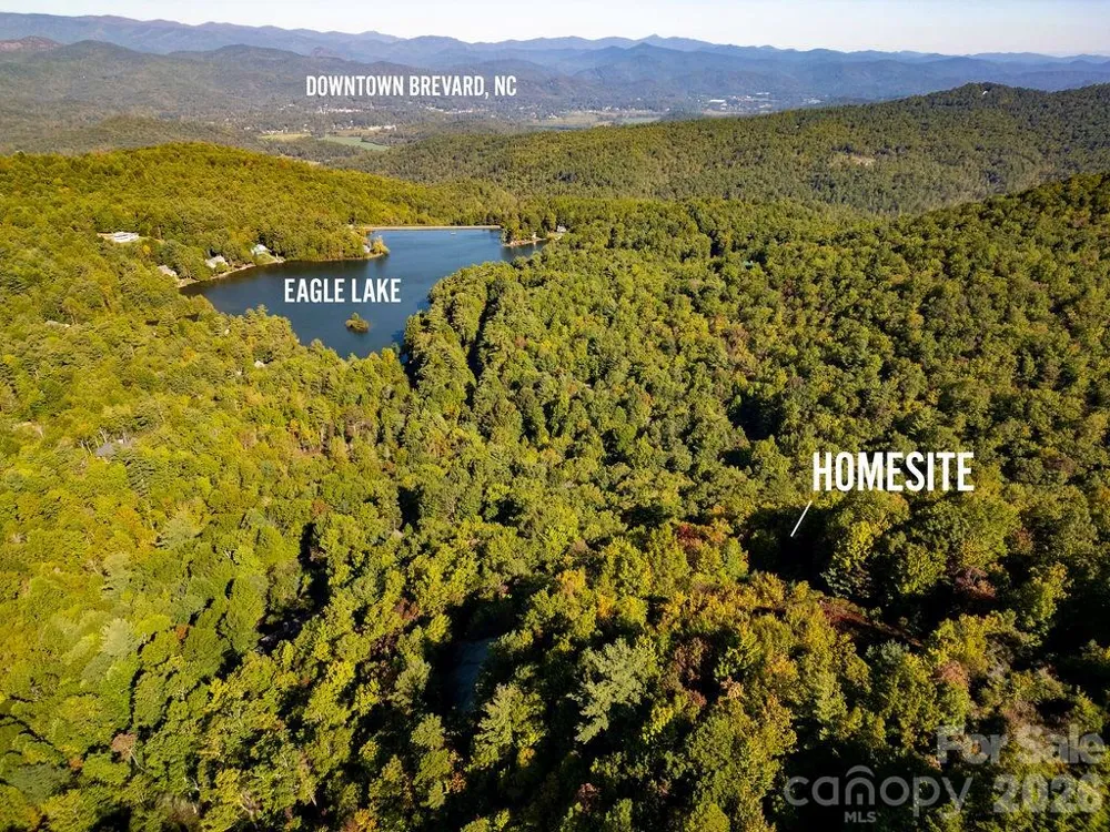 TBD Rock Face Road #L298 Brevard, NC 28712