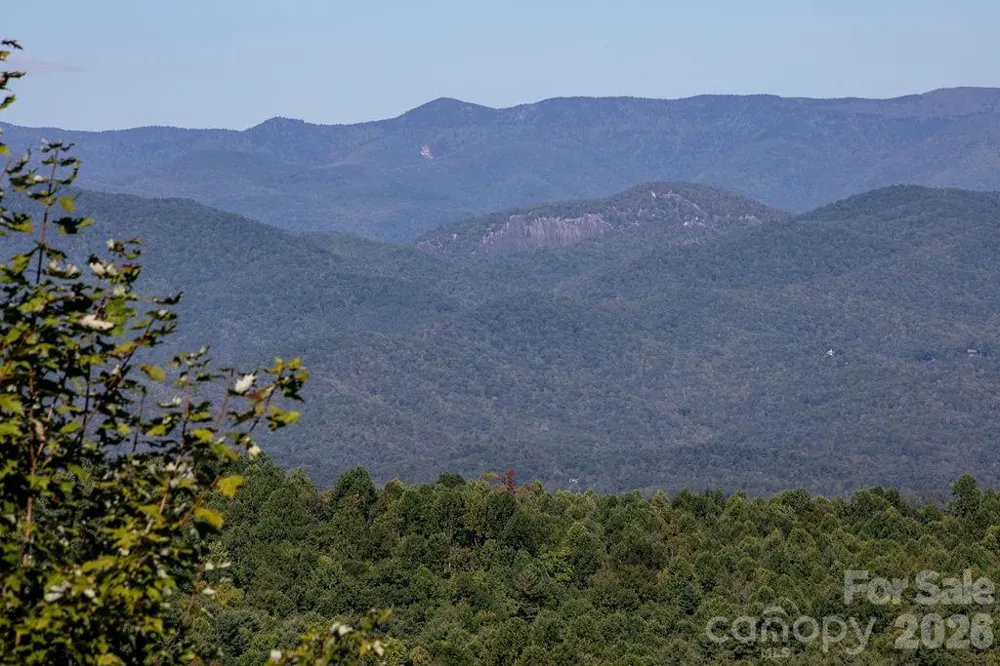 TBD Rock Face Road #L298 Brevard, NC 28712