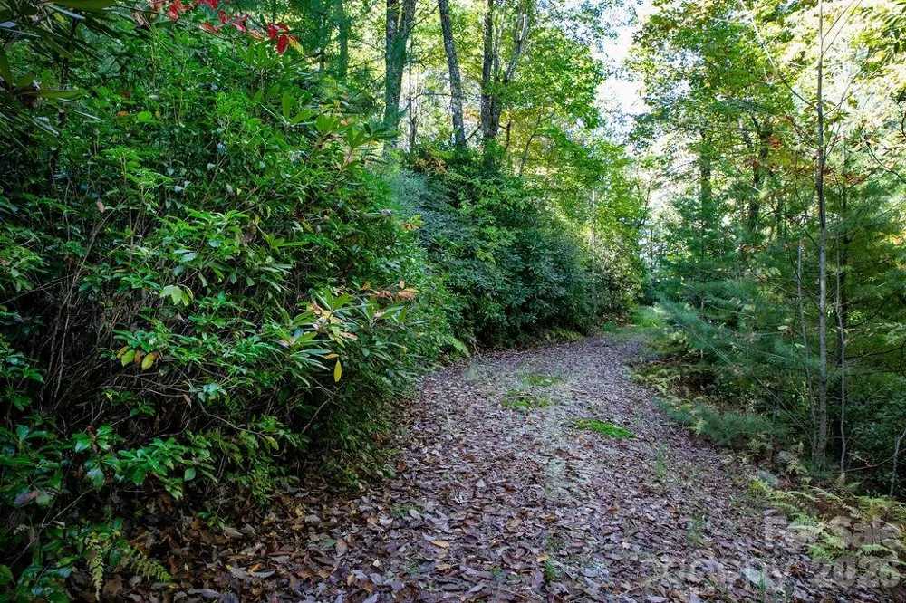 TBD Rock Face Road #L298 Brevard, NC 28712