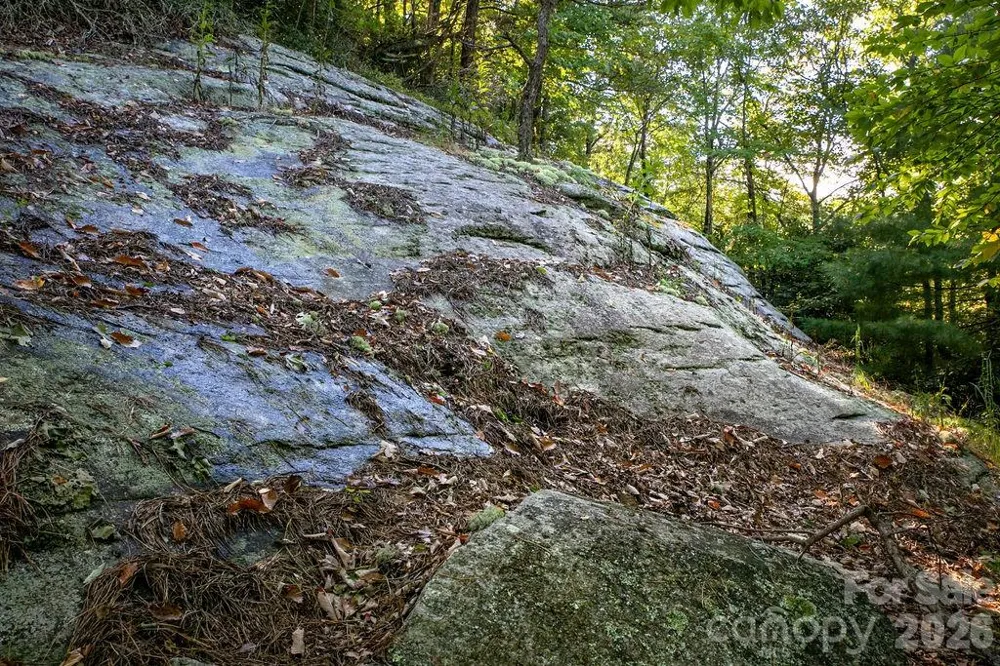 TBD Rock Face Road #L298 Brevard, NC 28712