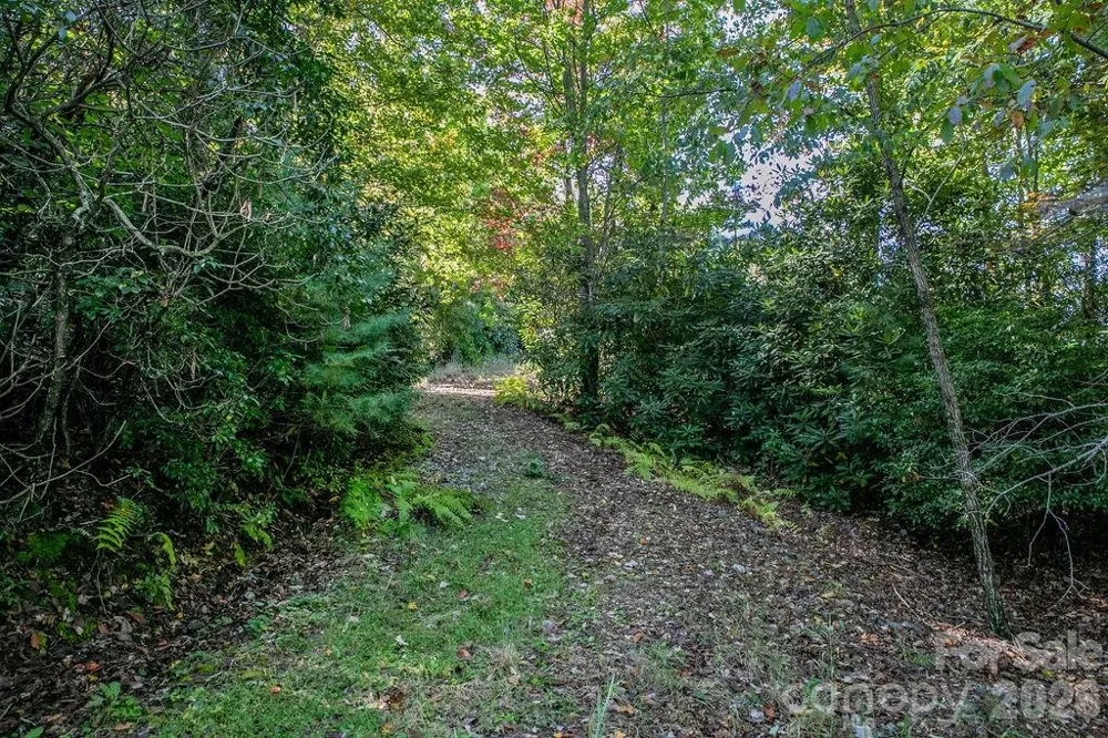 TBD Rock Face Road #L298 Brevard, NC 28712