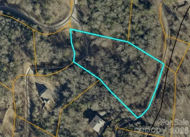 0 Fiddlers Mountain Road #24 Whittier, NC 28789