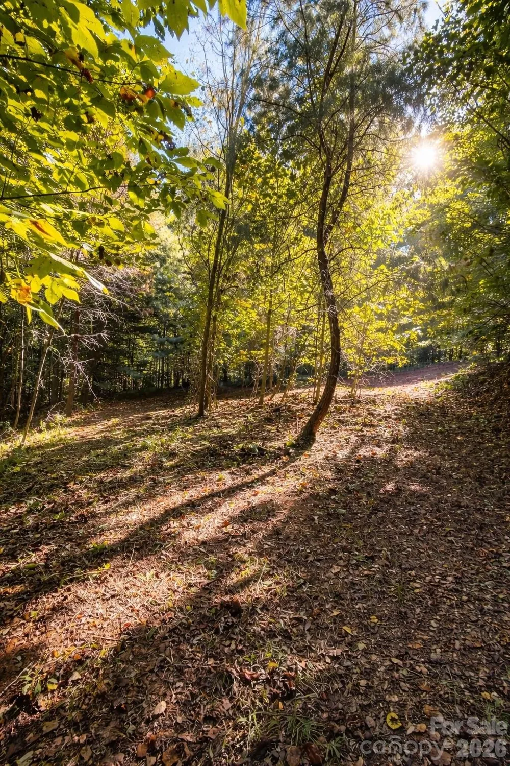 140 Johns Ridge Parkway #140 Lenoir, NC 28645