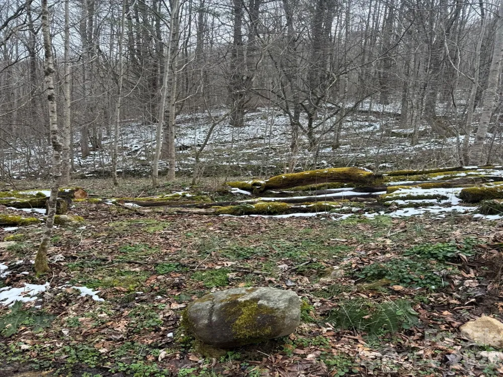 TBD 1.2 Acres Jass Cove Road Marshall, NC 28753