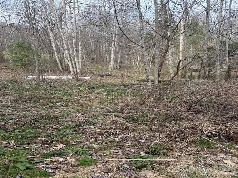 TBD 1.2 Acres Jass Cove Road Marshall, NC 28753