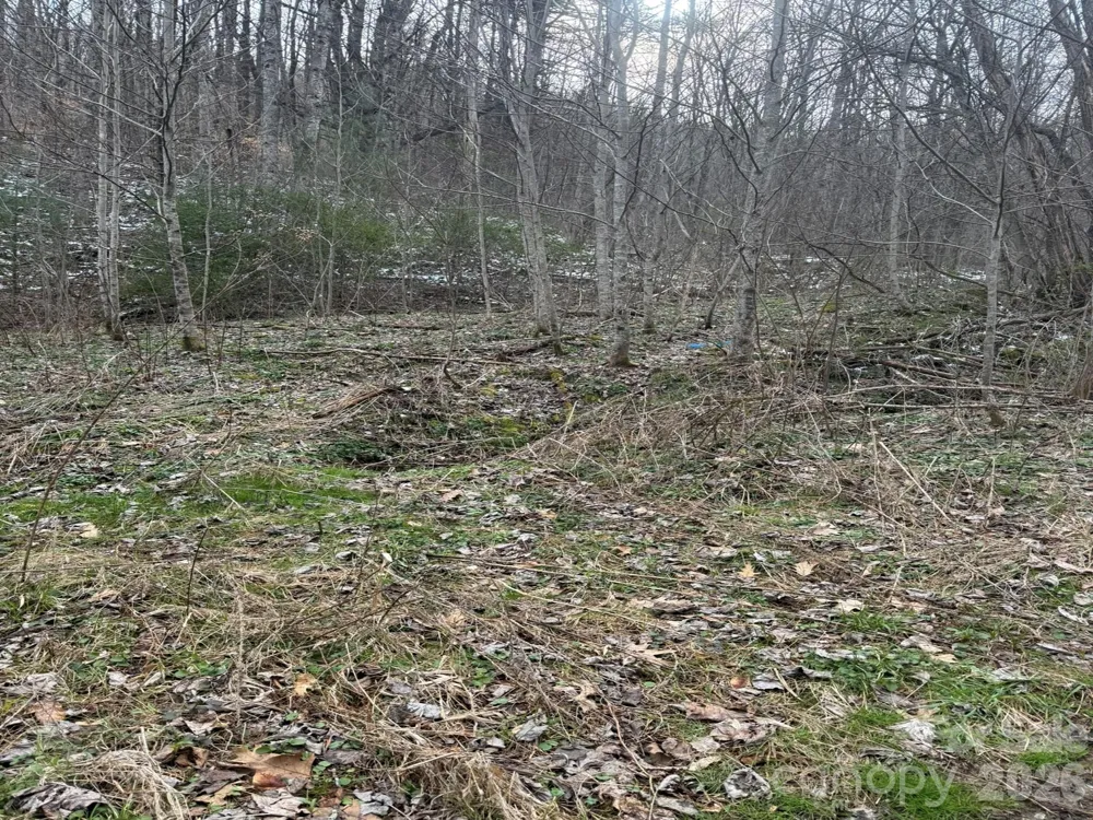 TBD 1.2 Acres Jass Cove Road Marshall, NC 28753