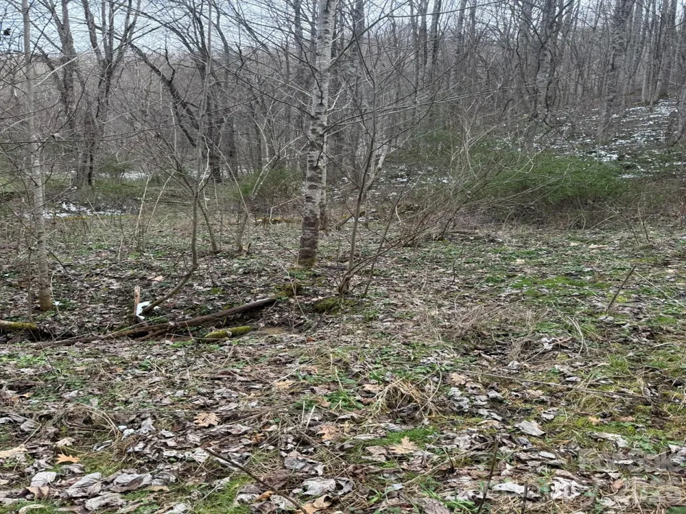 TBD 1.2 Acres Jass Cove Road Marshall, NC 28753