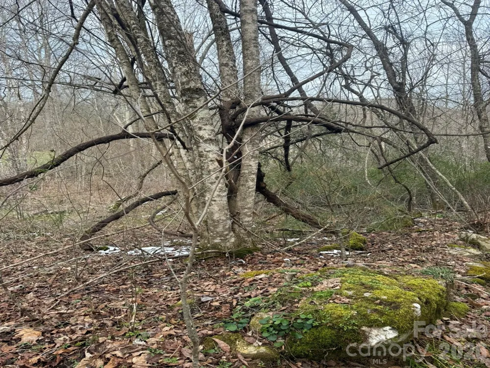 TBD 1.2 Acres Jass Cove Road Marshall, NC 28753