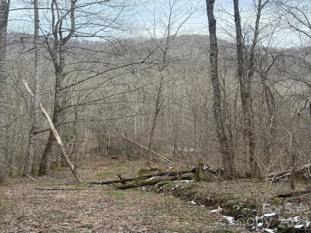 TBD 1.21 Acres Jass Cove Road Marshall, NC 28753