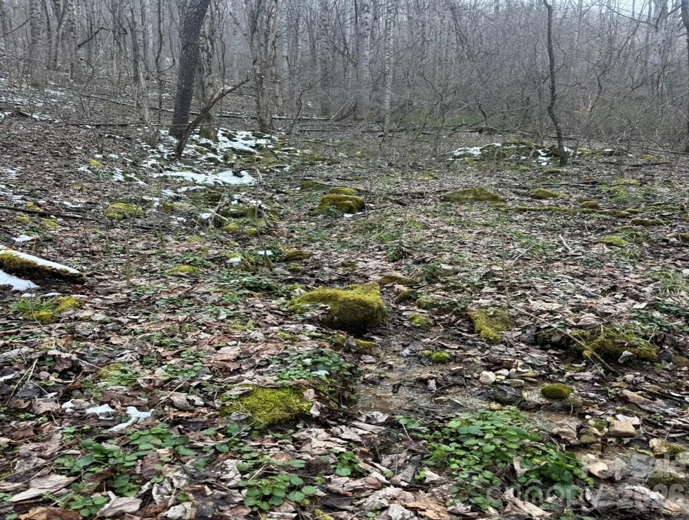 TBD 1.21 Acres Jass Cove Road Marshall, NC 28753