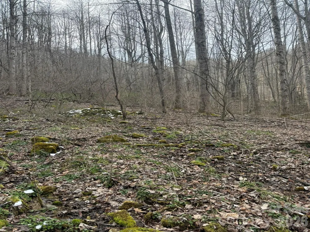 TBD 1.21 Acres Jass Cove Road Marshall, NC 28753