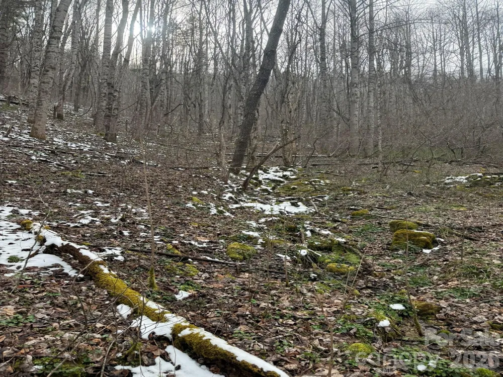 TBD 1.21 Acres Jass Cove Road Marshall, NC 28753