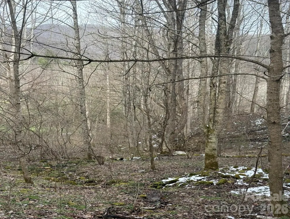 TBD 1.21 Acres Jass Cove Road Marshall, NC 28753