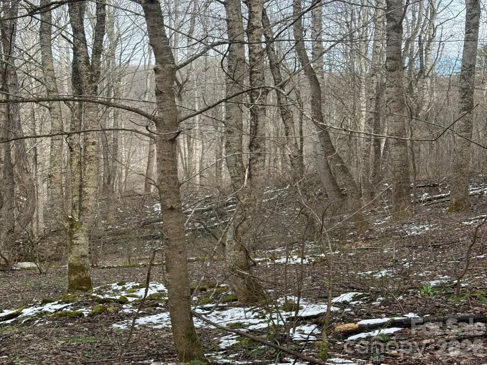 TBD 1.21 Acres Jass Cove Road Marshall, NC 28753