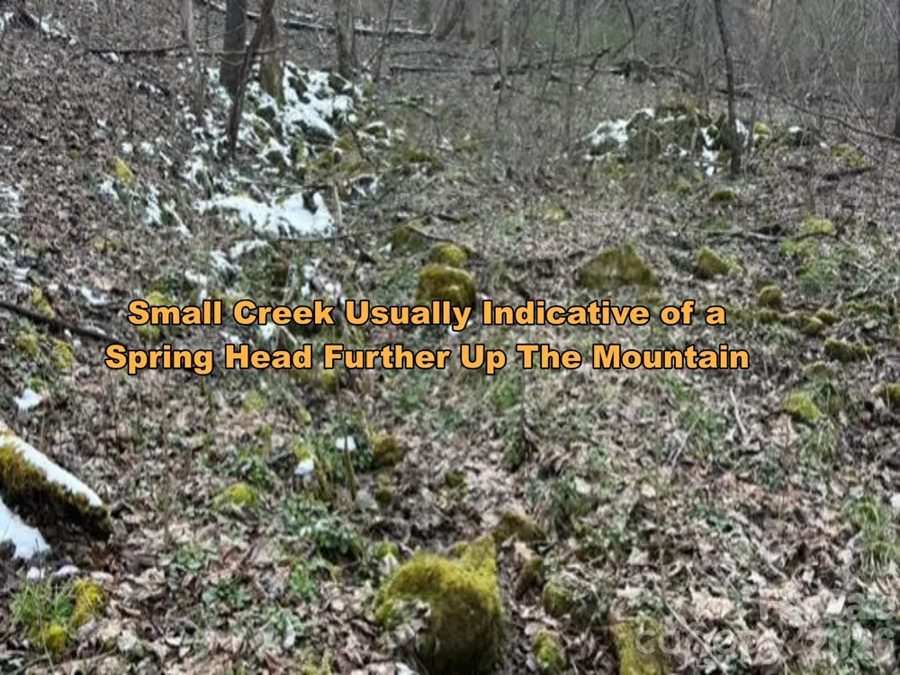 TBD 1.21 Acres Jass Cove Road Marshall, NC 28753