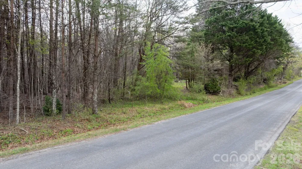 TBD Joe Branch Road Nebo, NC 28761