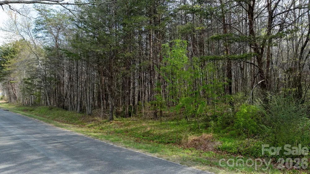 TBD Joe Branch Road Nebo, NC 28761