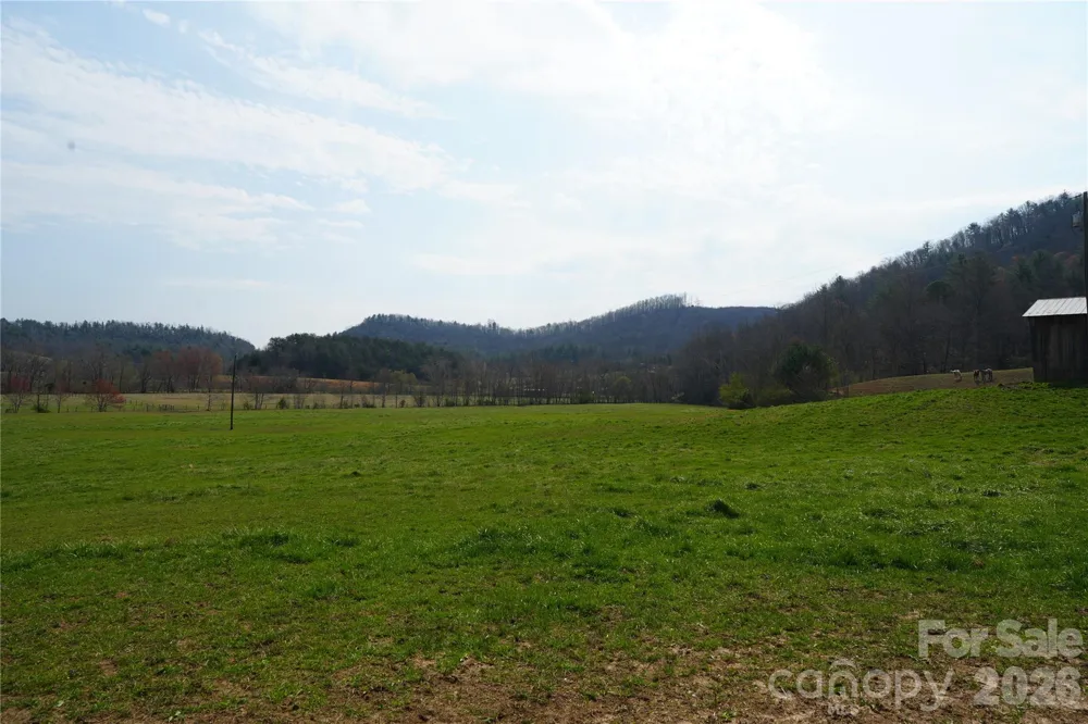 316 Lewis Fork Baptist Church Road Purlear, NC 28665