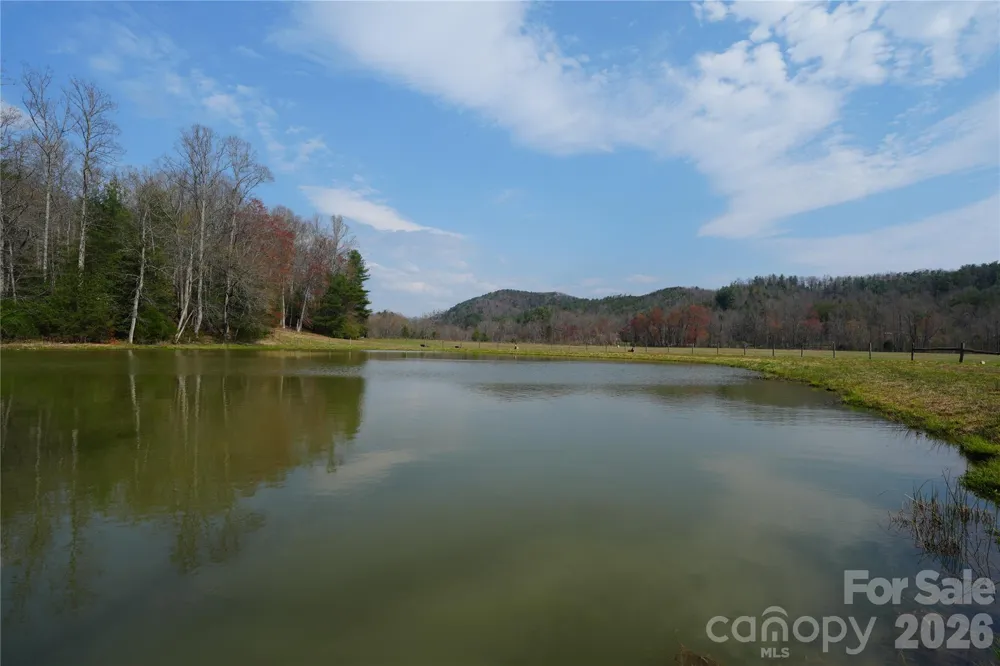 316 Lewis Fork Baptist Church Road Purlear, NC 28665