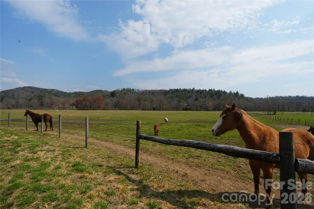 316 Lewis Fork Baptist Church Road Purlear, NC 28665