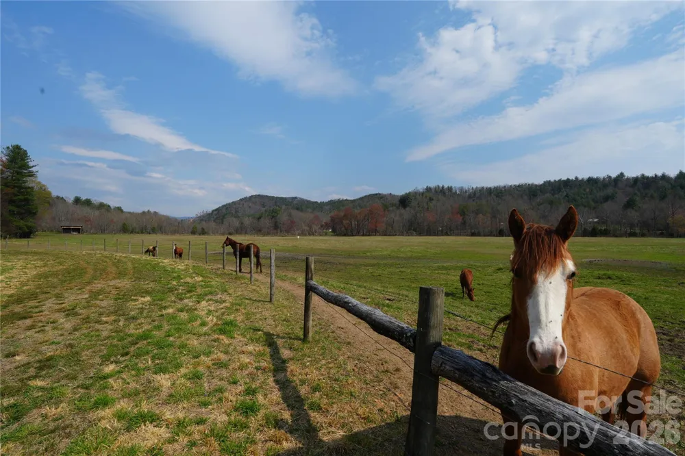 316 Lewis Fork Baptist Church Road Purlear, NC 28665