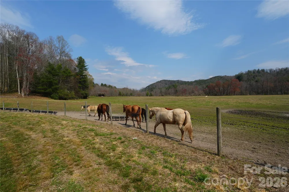 316 Lewis Fork Baptist Church Road Purlear, NC 28665