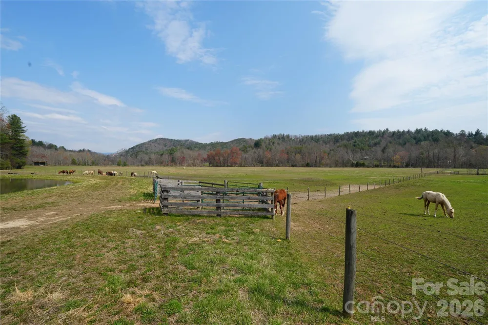 316 Lewis Fork Baptist Church Road Purlear, NC 28665